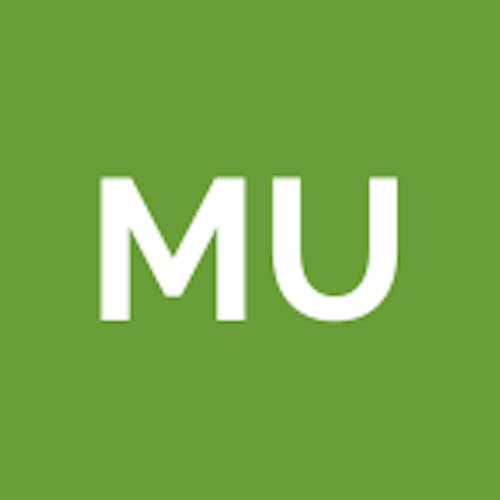 Muminstina