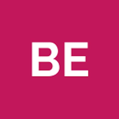 bebis20