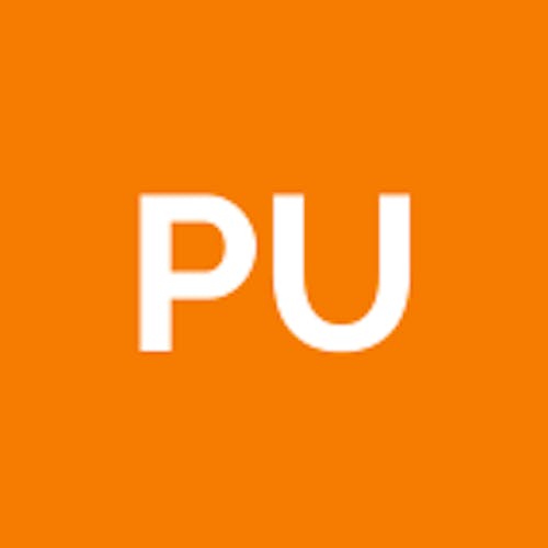 Pussnatta